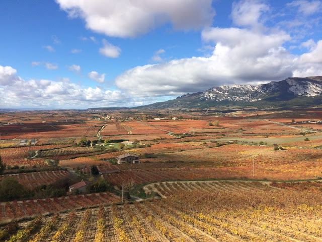 The endless Autumn coloured landscape of the Rioja Alavesa region The endless Autumn coloured landscape of the Rioja Alavesa region